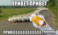 привет привет привееееееееееееееееет!!!!!!!!!!