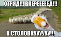 ОТРЯД!!! ВПЕРЕЕЕЕЕД!!! В СТОЛОВКУУУУУУ!!!