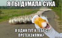 я ты думала сука я один тут к тебе с претензиями?