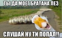 ТЫ ДА МОЕГ БРАТАНА ЛЕЗ СЛУШАЙ НУ ТИ ПОПАЛ!!