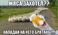 мяса захотел?? нападай на него братаны!!!