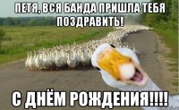 Петя, вся банда пришла тебя поздравить! С Днём рождения!!!!