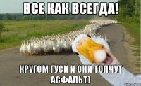 Все как всегда! Кругом гуси и они топчут асфальт)