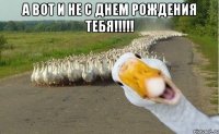 А вот и НЕ с Днем Рождения тебя!!!!! 