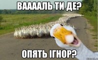 Вааааль ти де? опять ігнор?