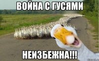 Война с гусями НЕИЗБЕЖНА!!!