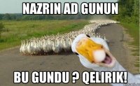 NAZRIN AD GUNUN BU GUNDU ? QELIRIK!