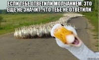 Если тебе ответили молчанием, это еще не значит, что тебе не ответили. 