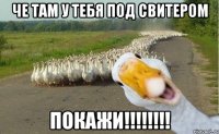 Че там у тебя под свитером покажи!!!!!!!!