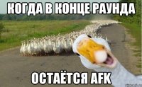 Когда в конце раунда остаётся afk