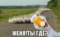  Женя!Ты где?