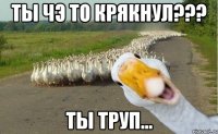 Ты чэ то крякнул??? Ты труп...