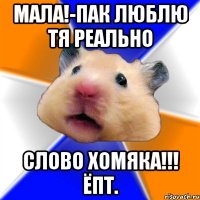 мала!-пак люблю тя реально слово хомяка!!! ёпт.