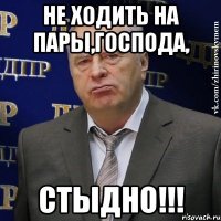 Не ходить на пары,господа, СТЫДНО!!!