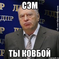 Сэм Ты ковбой