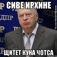 СИВЕ ИРХИНЕ ЩИТЕТ КУНА ЧОТСА