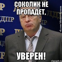 Соколик не пропадет, Уверен!