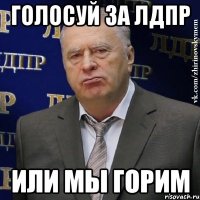 голосуй за лдпр или мы горим