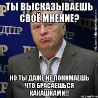 Ты высказываешь своё мнение? Но ты даже не понимаешь что брасаешься какашками!!