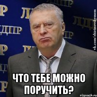  что тебе можно поручить?