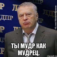  Ты мудр как мудрец.