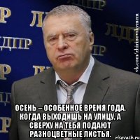  Осень – особенное время года. Когда выходишь на улицу, а сверху на тебя подают разноцветные листья.