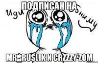 Подписан на Mr_Ruslik и CrzZzy Zom