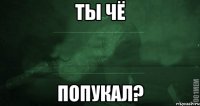 ТЫ ЧЁ ПОПУКАЛ?