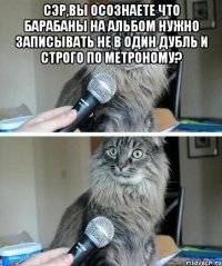 Сэр,вы осознаете что барабаны на альбом нужно записывать не в один дубль и СТРОГО по метроному? 