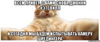 всем привет, с вами снова джонни кэтсвилл и сегодня мы будем испытывать камеру шрёдингера