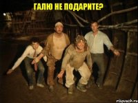 галю не подарите?