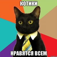 котики нравятся всем