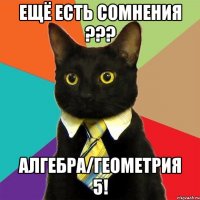 ЕЩЁ ЕСТЬ СОМНЕНИЯ ??? алгебра/геометрия 5!