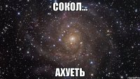 Сокол... Ахуеть