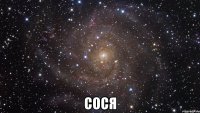  СОСЯ