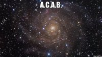 A.C.A.B. 