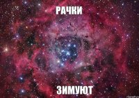 РАЧКИ ЗИМУЮТ