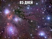 85 дней 