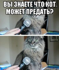 Вы знаете что кот может предать? 