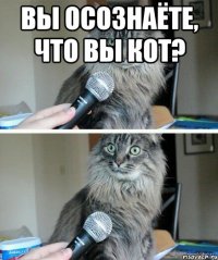 вы осознаёте, что вы кот? 