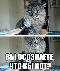  вы осознаёте, что вы кот?