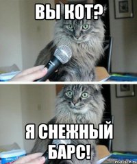 Вы кот? Я снежный барс!