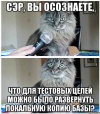 Сэр, вы осознаете, что для тестовых целей можно было развернуть локальную копию базы?