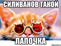 СИЛИВАНОВ ТАКОЙ ЛАПОЧКА