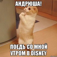 Андрюша! Поедь со мной утром в Disney