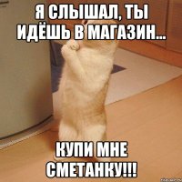 Я слышал, ты идёшь в магазин... Купи мне сметанку!!!