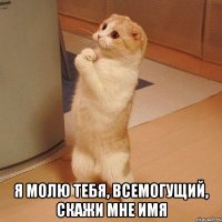  Я молю тебя, всемогущий, скажи мне имя