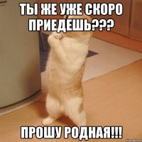 Ты же уже скоро приедешь??? Прошу родная!!!