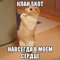 Клан SKOT навсегда в моем сердце