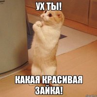 Ух ты! Какая красивая зайка!